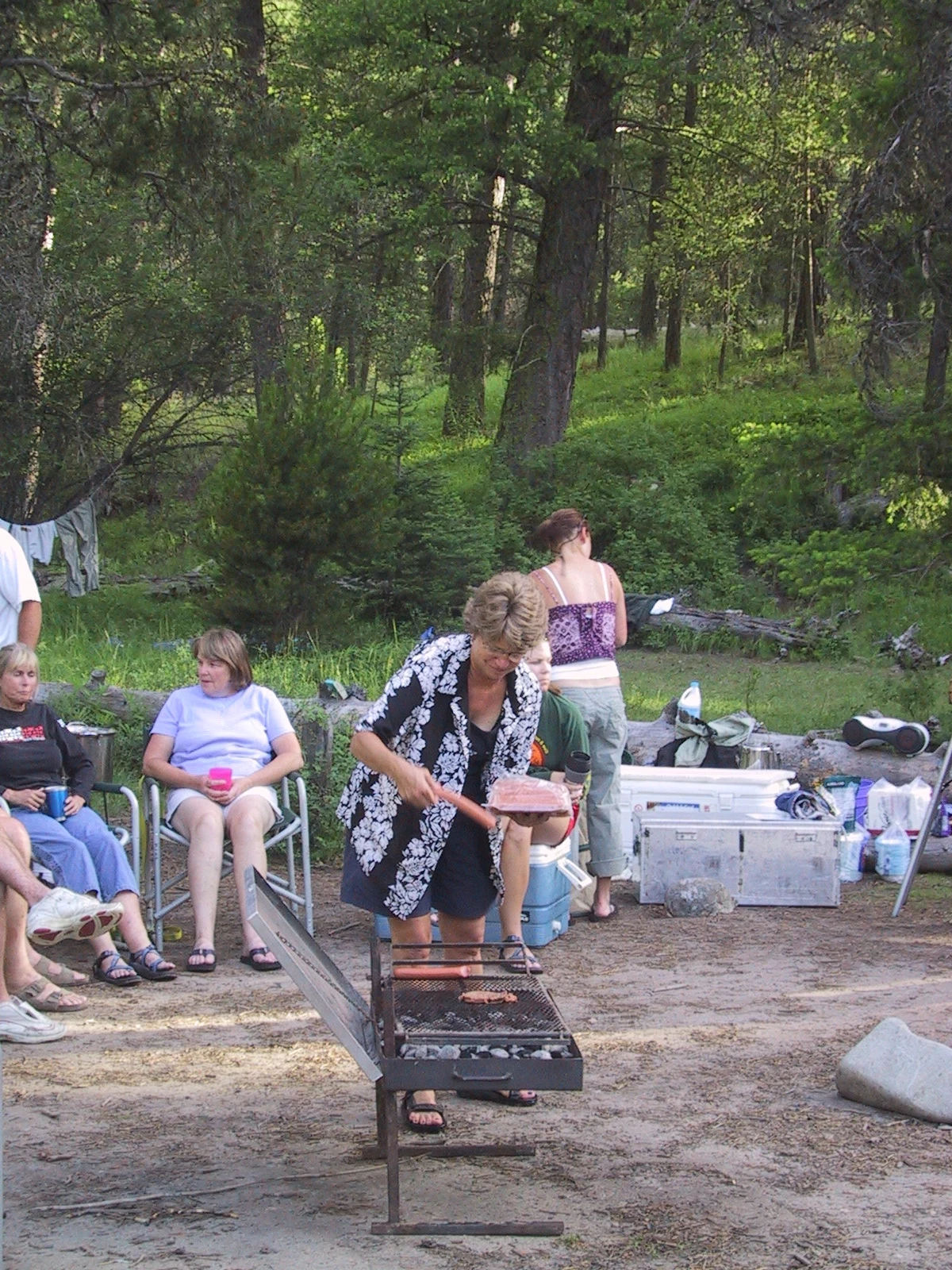 Sheepeater Hot Springs I